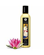 Shunga erotic massage oil sweet lotus