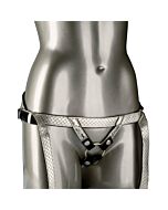 The regal duchess - gold