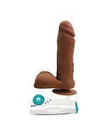 Average joe the carpenter - mauricio vibr.