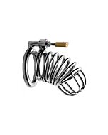 Bastille penile confinement cage