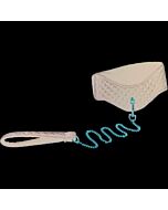 Entice posture collar with leash