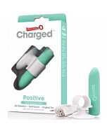Rechargeable Vibrating Massager - EcoVibe