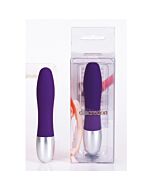 Sevencreations discretion vibrator purple