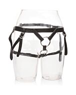 Her royal harness the dutchess