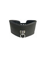 Soft leather posture collar