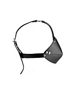 Mouth harness with ball gag