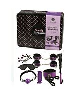 Intense Purple Bondage Kit 8P