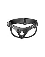 Bodice corset style strap on harness