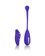 E-stim remote kegel exerciser