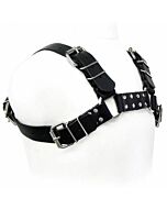 Body leather black bull dog harness
