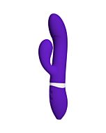 Ivibe select icome purple