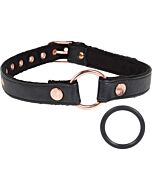 Entice open mouth gag