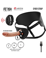 Cyber Control Harness