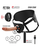 Cyber Control Harness