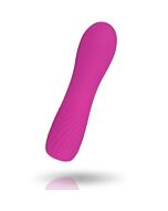 Purple Inspire Vibrator