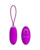 Vibrating Egg Love Control