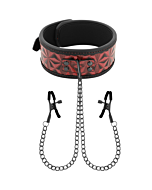 BDSM Red Pleasure Collar