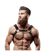 Submissive Studded Harness