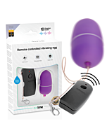 Purple Remote Control Egg