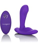 Remote pinpoint pleaser - purple