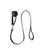 Strict ball stretcher with leash