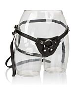 Her royal harness the countess