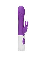 Rabbit vibrator - purple