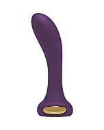 Zare vibrator purple