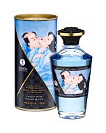 Shunga Hot Coconut Oil