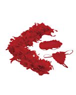 Amour hollywood house wife kit