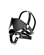 Eye mask harness with ball gag