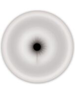 Renegade universal pump sleeve ass