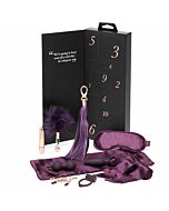 Fifty shades of grey pleasure overload 10 days of play coupleâ’s kit