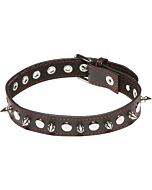 X-play spiked collar