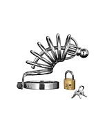 Asylum - 6 ring chasity cage