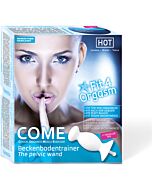 Come the pelvic wand