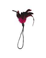 Pleasure feather rose