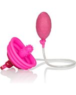 Venus butterfly pump pink