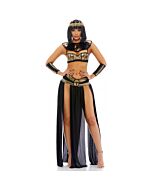Pharaoh to you sexy cleopatra costume - gold