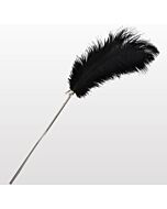 Seduction Feather Tickler