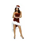 Seduction Feather Dress Burgundy