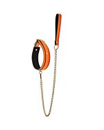 Glow Orange Collar and Leash by Dream Toys