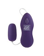 Body and soul passion purple vibrator egg