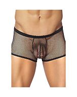 Male boxer black power network