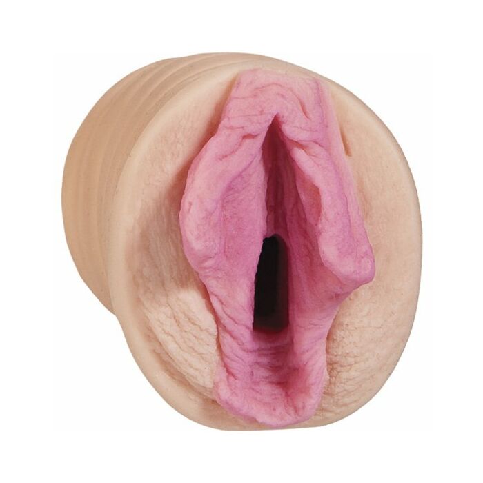 All star porn stars kimberly kane