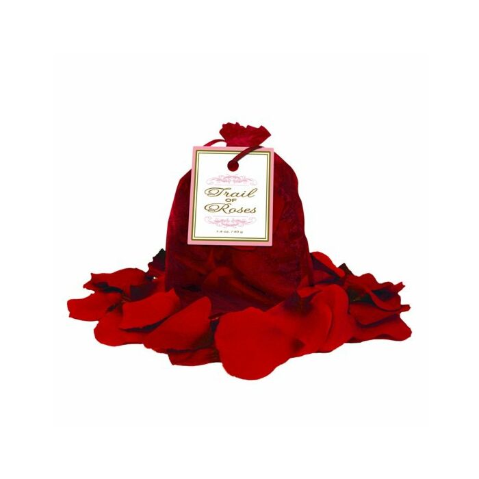 Trail of roses red petals