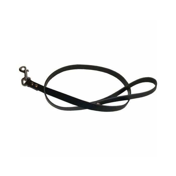 Mister b leather dog leash