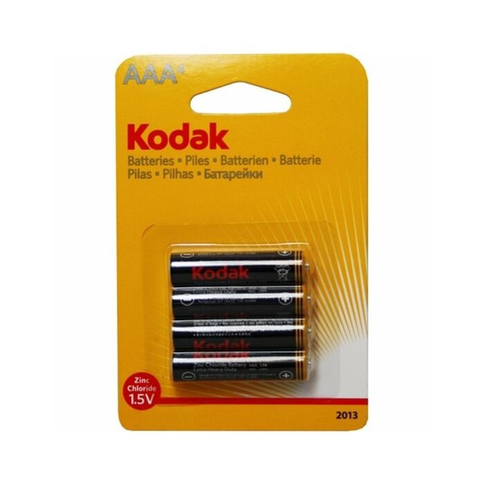 Kodak x4 Energy Kit
