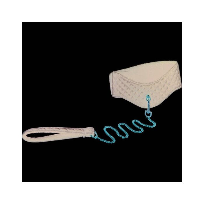 Entice posture collar with leash