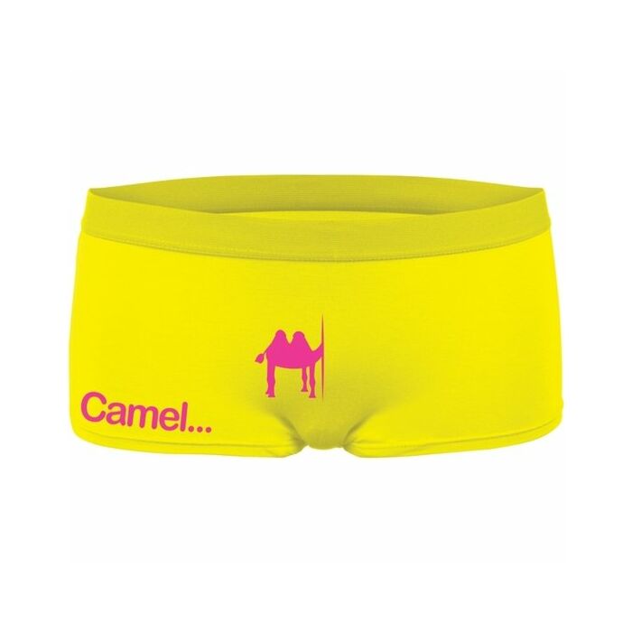 Funny hipsters camel